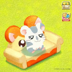 ꡼ No.004 | ֥ϥॹΤפǡ֤ȤäȤϥϺפȤΥܥ٥ȳϡϥϺܤȤäϥ󤺤7餬о