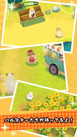 ハムスターの里