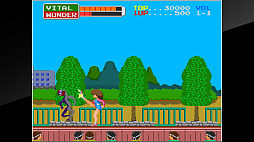 アーケードアーカイブス ワンダーモモ