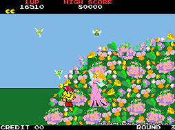 ꡼ No.001 | ɥ֥ ѥå