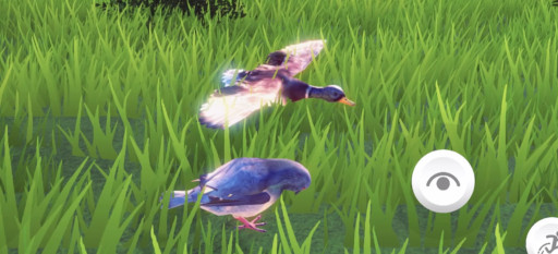 画像ギャラリー No.002のサムネイル画像 / 「ハトバース」アップデートで鴨が登場。公式情報番組“ハトバースRADIO”も開始