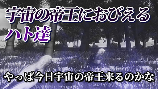 画像ギャラリー No.003のサムネイル画像 / 「ハトバース」のストーリームービー“青春との決別”が公開に