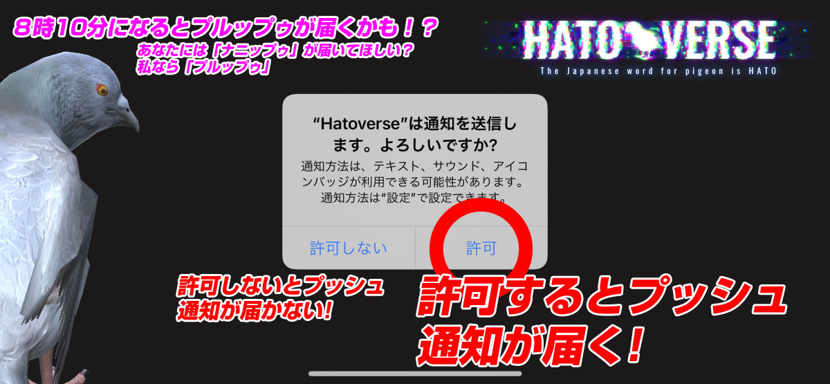 ꡼ No.001 | ֥ϥȥСס8:10˥ץåΤϤåץǡȤ»