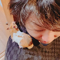 ꡼ No.010 | ͷˤ뿷ܡɥ֥饦Хפޡå2022դءȵžȽɤδ丵äϺᡤ&#64017; ˻