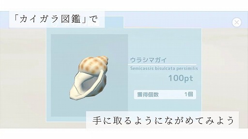 ���������꡼ No.005�Υ���ͥ������ / �֥��ߥΥ��ȡפ�������꡼�������Ⱥ��ͤ����������ǳ��̤򽸤��ADV