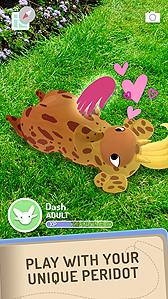 ꡼ No.006 | NianticοARڥåȥץPeridotפƹ59󶡳ϡ줾ۤʤħġȥڥɥåȡɤơ˿⤵륲