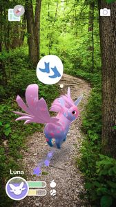 ���������꡼ No.003�Υ���ͥ������ / ��ʬ�����ΥС��������ʪ���Ƥ��롣����AR�ڥåȥ��ץ��Peridot���ۿ�����