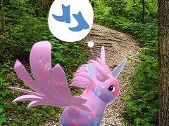 AI���Ȥ߹�碌��AR�Ͽ͡�������˲���⤿�餹�Τ���Niantic�����Ť����ץ쥹�������å�����ݡ���