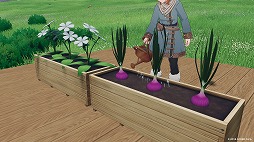 ���������꡼ No.024�Υ���ͥ������ / �֥ۥ��������ס�����ɥܥå������ꥢ����硣������ֵݡפ俢ʪ���Ƥ���֥ץ�󥿡��ס������ƥ�򱿤٤�ֲټ֡פʤɤ��ɲ�