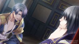 ꡼ No.020 | ֲå4Gamer343󡧡ֽٱ 12 for Nintendo Switchפý͸ǭδر