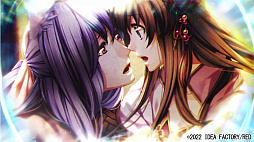 ꡼ No.002 | ֽٱ 12 for Nintendo SwitchPV餹о쥭饯ҲŵʤɤϿ