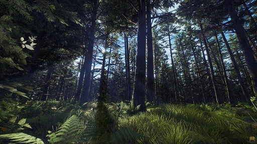 画像集 No.004のサムネイル画像 / 狩猟シム「Way of the Hunter」の無料DLC“Aurora Shores”が近日リリース。最新トレイラーが公開に