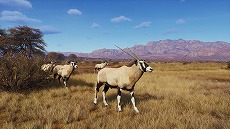 ꡼ No.008 | ĥWay of the HunterסեꥫͺʼˤDLC֥ƥࡼʿפȯɽʥ󥹥ȥ쥤顼