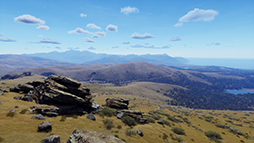 ꡼ No.008 | Way of the HunterסDLC֥ޥꥭפ26ȯ䡣֥䥮о줹ǿȥ쥤顼