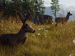 オープンワールド型ハンティングゲーム「Way of the Hunter」のPS5/Xbox Series X版は8月16日，PC版は8月17日に発売決定