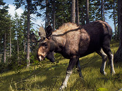「Way of the Hunter」最新トレイラー公開。ミュールジカやアメリカグマなど，ゲーム内で出会えるさまざまな動物を紹介する映像
