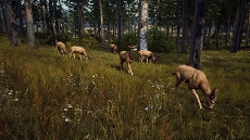 画像集#002のサムネイル/「Way of the Hunter」美しい風景の中で狩りをするゲームプレイトレイラーを公開