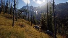 画像集#006のサムネイル/「Way of the Hunter」美しい風景の中で狩りをするゲームプレイトレイラーを公開