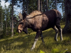 「Way of the Hunter」美しい風景の中で狩りをするゲームプレイトレイラーを公開