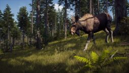 画像ギャラリー No.005のサムネイル画像 / 「Way of the Hunter」のアップデート版Version 1.16.2.80362を公開