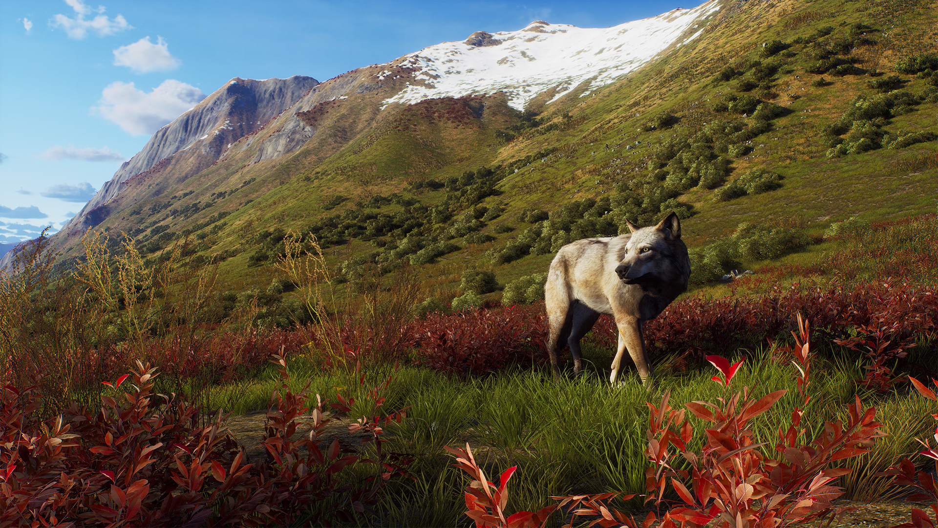 “Way of the Hunter,” the big free “Aurora Shores” DLC delivery date set for February 23. A trailer has been released where you can check out the animals that appear