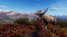 画像集 No.003のサムネイル画像 / 「Way of the Hunter」，無料大型DLC“オーロラショアーズ”の配信日を2月23日に決定。登場する動物たちを確認できるトレイラーが公開