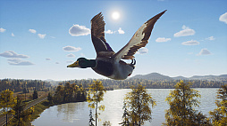 ꡼ No.005 | Way of the Hunterס󥸥ʥӥ¿ͤʴĶǼĤڤɲDLC֥ȥݸפ82ȯ