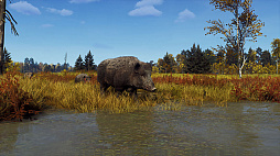 ꡼ No.007 | Way of the Hunterס󥸥ʥӥ¿ͤʴĶǼĤڤɲDLC֥ȥݸפ82ȯ