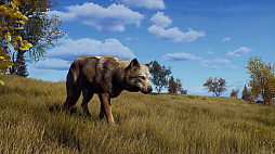 ꡼ No.008 | Way of the Hunterס󥸥ʥӥ¿ͤʴĶǼĤڤɲDLC֥ȥݸפ82ȯ