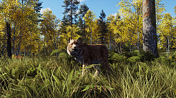 ꡼ No.010 | Way of the Hunterס󥸥ʥӥ¿ͤʴĶǼĤڤɲDLC֥ȥݸפ82ȯ