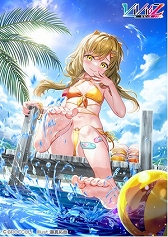 ���������꡼ No.002�Υ���ͥ������ / ��Vividz�ס��������ȥ�ѥå���2�ơȥ������ȥ顧�Х��������ɤ�6��15����ȯ��