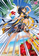 ���������꡼ No.004�Υ���ͥ������ / ��Vividz�ס��������ȥ�ѥå���2�ơȥ������ȥ顧�Х��������ɤ�6��15����ȯ��