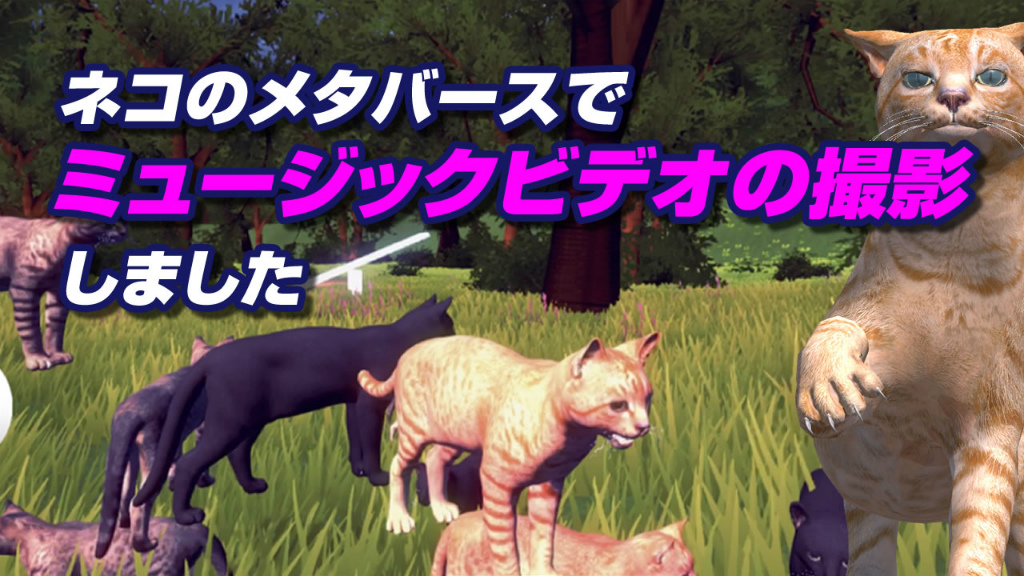 ꡼ No.001 | ֥ͥǡס桼÷MVƴα