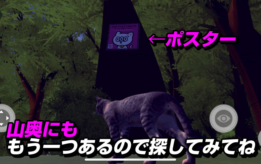 ꡼ No.003 | ֥ͥǡפ#NFTCATTOKYO֥ͥȤ餷Vol.10פȥܡץȲߤ˥ݥ