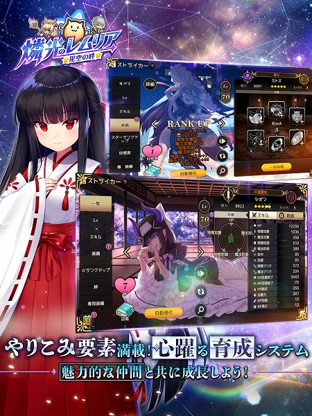 ꡼ No.003 | PRۥ꡼³ԡոΥꥢ 嫡פ2022ǯƤ˥꡼ȥ饤ȥꥹɤ館Ͽ»