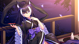 ꡼ No.007 | PRۥ꡼³ԡոΥꥢ 嫡פ2022ǯƤ˥꡼ȥ饤ȥꥹɤ館Ͽ»