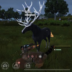 ���������꡼ No.015�Υ���ͥ������ / ��PR�ۿ��ä�ι���빭����������ֿ�����������ܥ륷��󡦥ǥ��Х������פϰ��͡��ÿ͹����˥������ᤷ����MMORPG���ä�