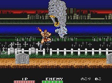 ꡼ No.005Υͥ / PS4/Switch֥ɥ֥ ȥꥪѥפ519˥꡼ԾѤ̣廊벣륢