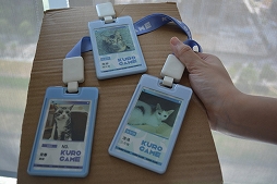 ꡼ No.051 | Ĭס֥ѥ˥פιƱ٥KUROFESTݡȡĬϥС2.6PV