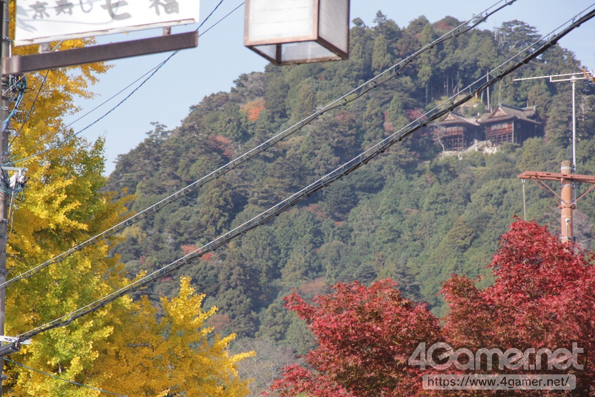 ꡼ No.001 | Ĭפȵż֤Υܤˤåԥż֤ԡ̼־˽Ǥ夰ߤо줷ˡͤݡ