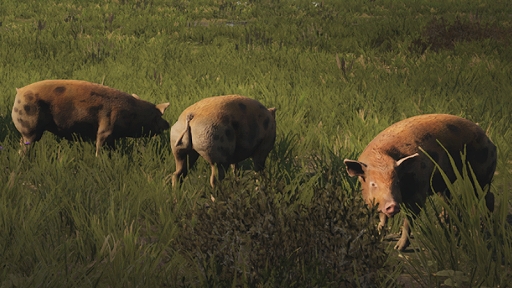 ꡼ No.003Υͥ / ԻԷߥManor Lordsס२󥸥UE5إåץ졼ɤǿѥåۿ˥åȤץʤɤо