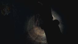 ���������꡼ No.006�Υ���ͥ������ / ��TGS2023�϶���������°̤Ǥ⤷�ä���ͷ�٤롣�֥Х����ϥ����� RE:4 VR�⡼�ɡ׻�ͷ��ݡ���