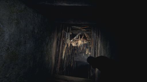 ���������꡼ No.008�Υ���ͥ������ / ��TGS2023�϶���������°̤Ǥ⤷�ä���ͷ�٤롣�֥Х����ϥ����� RE:4 VR�⡼�ɡ׻�ͷ��ݡ���