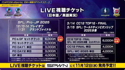 ꡼ No.009 | CAPCOM CUP 12סSFLɥեʥפδå䤬1010˳ϡ辡Υ饤ֻİͭˡTGS2025