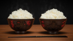 画像ギャラリー No.007のサムネイル画像 / 「スト6」,Tシャツと美濃焼の食器類からなる新作コレクション「Special Moves Collection」を発売。コラボ米「真豪鬼米2026」も登場