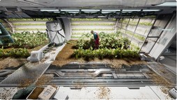 ꡼ No.006 | ʣΤȶæФޤThe Altersפκǿȥ쥤顼ˡʣΤȤοʹִطΰݻפˤʤꤽ