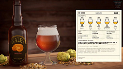 ꡼ No.011 | ӡ¤ʥ֥꡼˥Brewmaster: Beer Brewing Simulatorפκǿȥ쥤顼