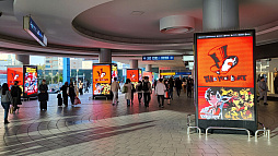 ꡼ No.004Υͥ / ֥ڥ륽ʣ ץޥǡȯ䡣DJ륬 ڶʥ٥30ɤθ