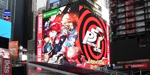 ꡼ No.005Υͥ / ֥ڥ륽ʣ ץޥǡȯ䡣DJ륬 ڶʥ٥30ɤθ