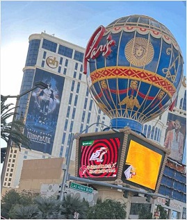 ꡼ No.015Υͥ / ֥ڥ륽ʣ ץޥǡȯ䡣DJ륬 ڶʥ٥30ɤθ